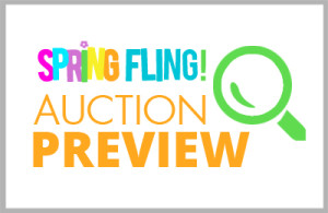 Spring Fling 2017 – Auction Preview